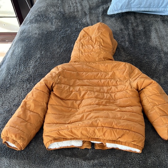 Boys Puffer Jacket - Picture 5 of 6